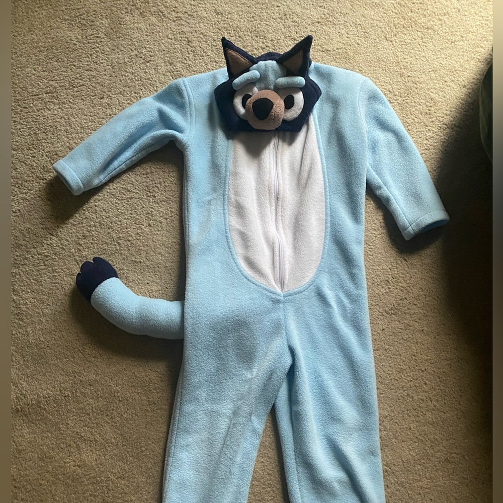 Custom Bluey Costume